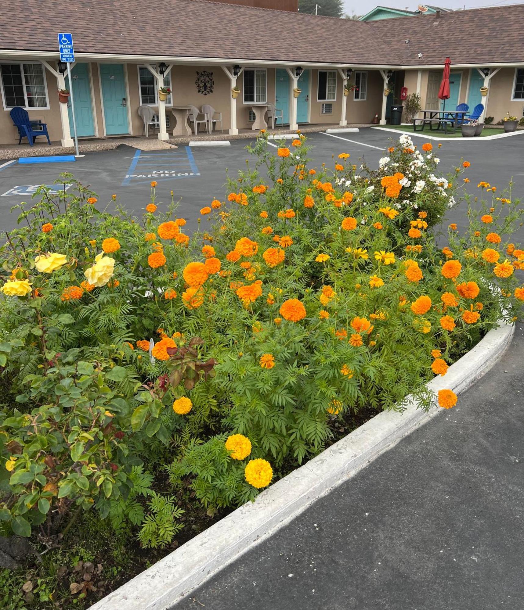 Central Coast Inn Cayucos Dış mekan fotoğraf